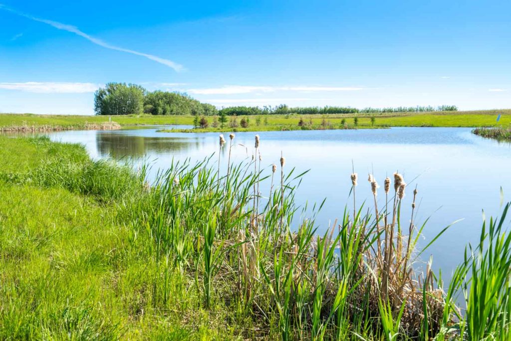 Prescott Community Image