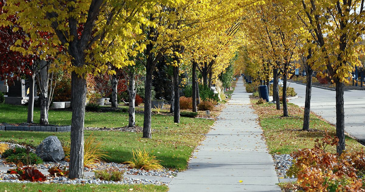 fall landscaping ideas street image