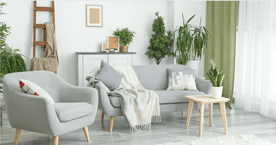 Incorporating Plants into Your Interior Home Design
