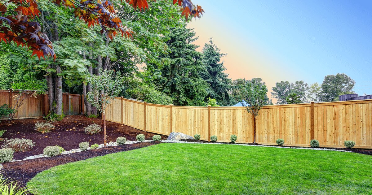 landscaping tips for new homes backyard image