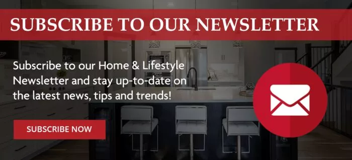 sanrufo newsletter subscribe blog cta 800x363 min 1