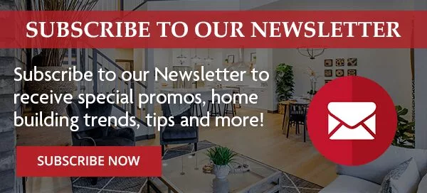 sanrufo newsletter subscribe blog cta