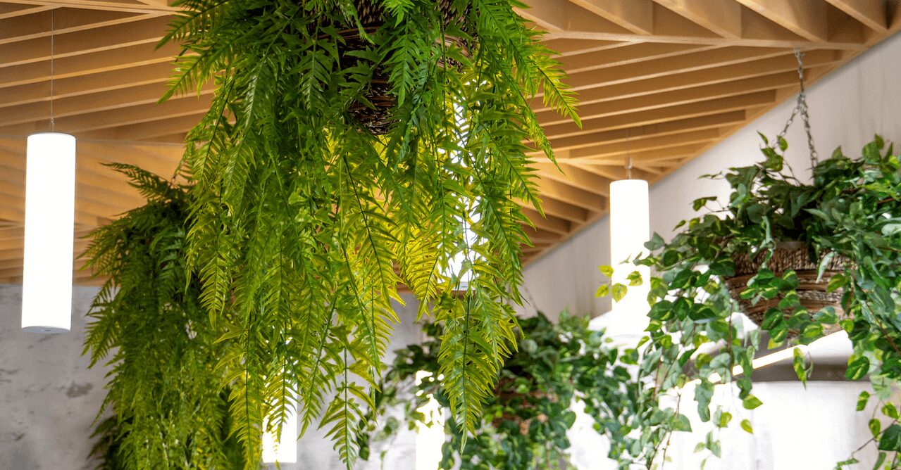 The Psychology of Home Design and Decor: By SanRufo Homes