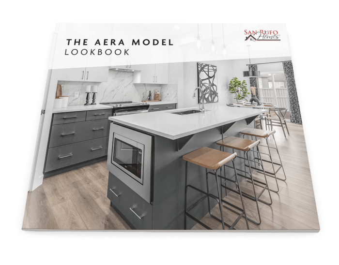 aera look book cover