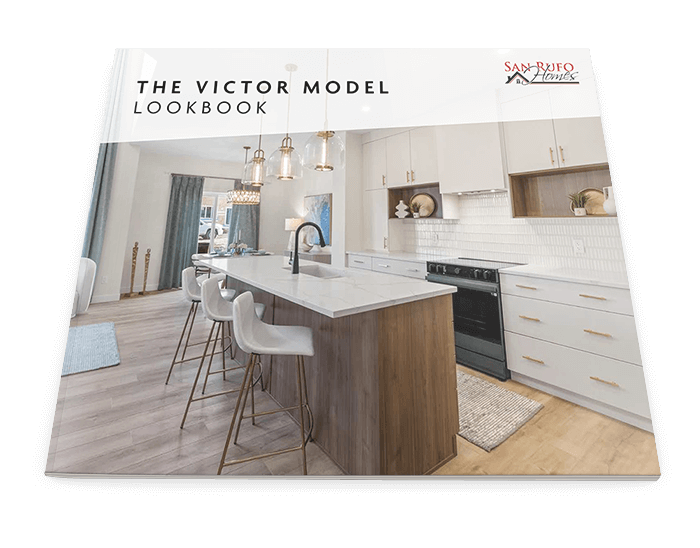 victor look book cover 700