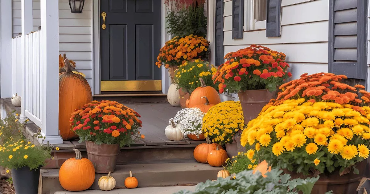 Fall Landscaping Ideas to Enhance Curb Appeal After Relocation