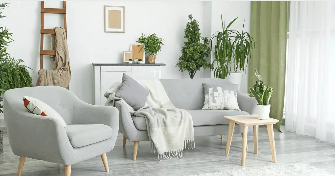 Incorporating Plants into Your Interior Home Design