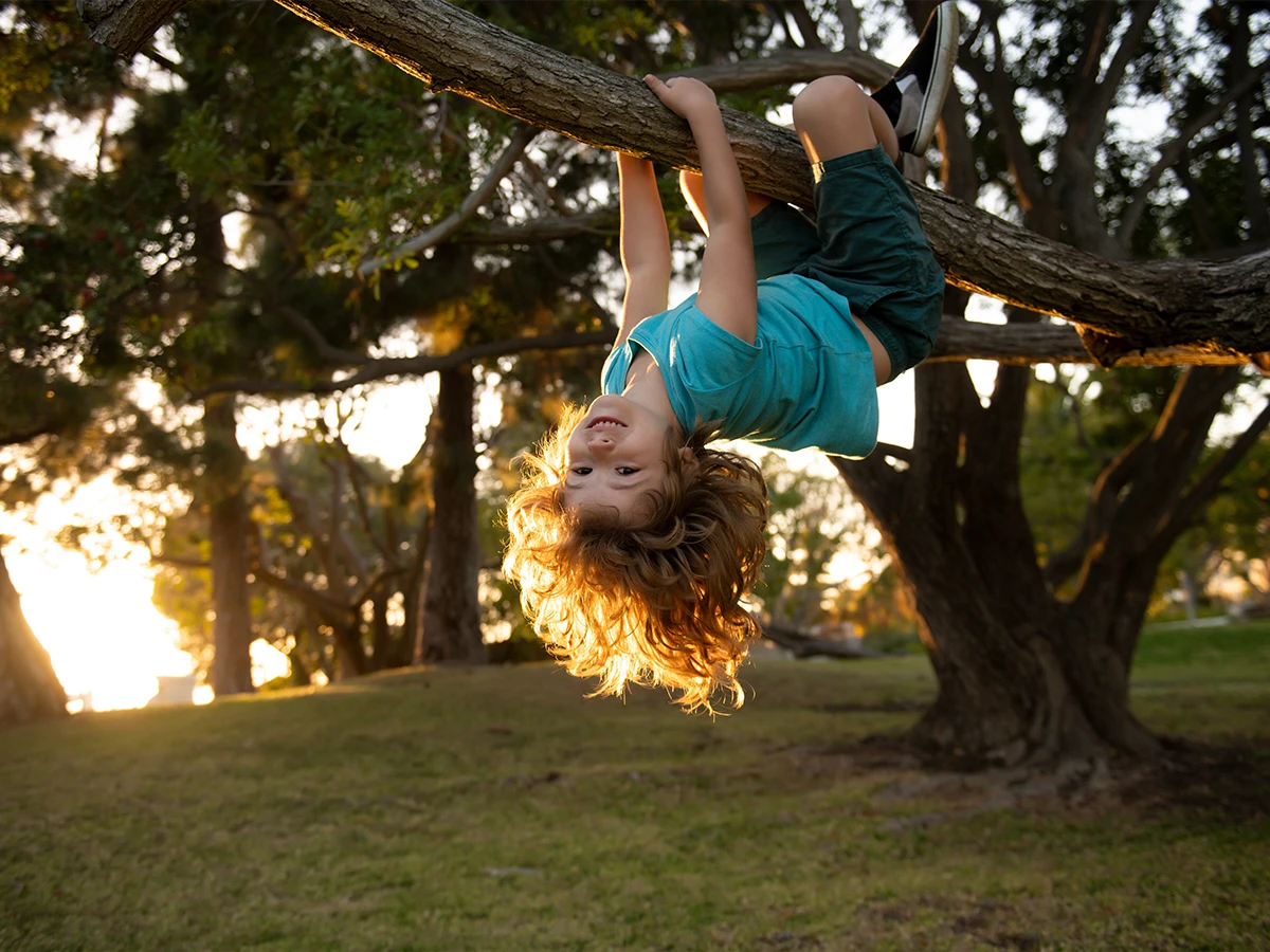 Why Cambrian Is Sherwood Park’s Top Community for Families & Downsizers | San Rufo Homes